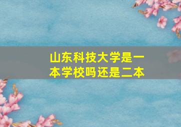 山东科技大学是一本学校吗还是二本