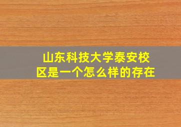 山东科技大学泰安校区是一个怎么样的存在