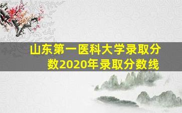 山东第一医科大学录取分数2020年录取分数线