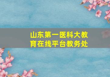 山东第一医科大教育在线平台教务处