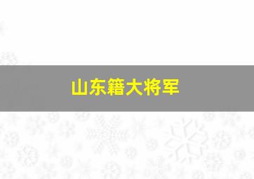 山东籍大将军