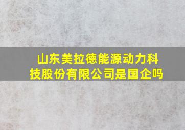 山东美拉德能源动力科技股份有限公司是国企吗