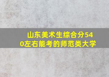 山东美术生综合分540左右能考的师范类大学