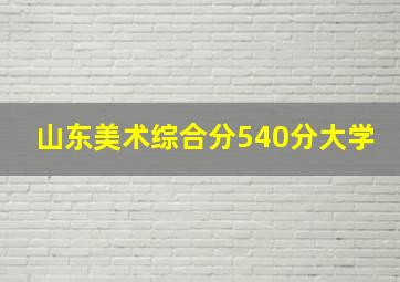 山东美术综合分540分大学