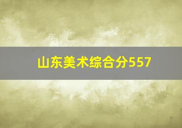 山东美术综合分557