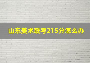 山东美术联考215分怎么办