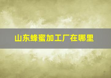 山东蜂蜜加工厂在哪里