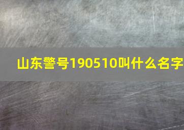 山东警号190510叫什么名字