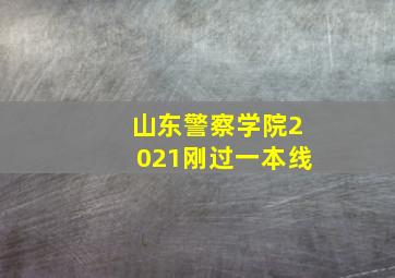 山东警察学院2021刚过一本线