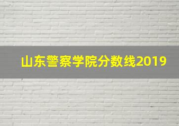 山东警察学院分数线2019