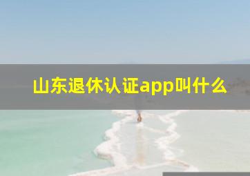 山东退休认证app叫什么