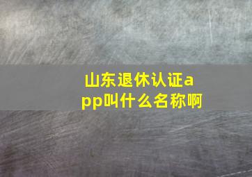 山东退休认证app叫什么名称啊