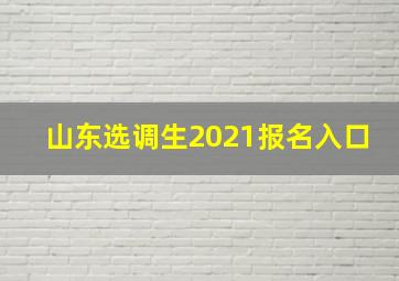 山东选调生2021报名入口