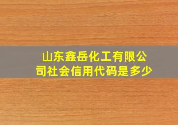 山东鑫岳化工有限公司社会信用代码是多少