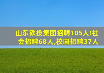 山东铁投集团招聘105人!社会招聘68人,校园招聘37人