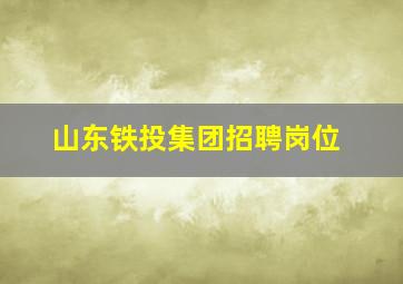 山东铁投集团招聘岗位