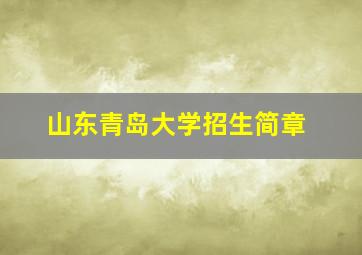 山东青岛大学招生简章