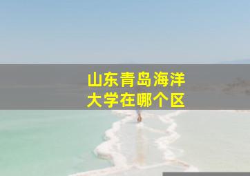 山东青岛海洋大学在哪个区