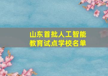 山东首批人工智能教育试点学校名单