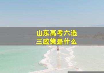 山东高考六选三政策是什么