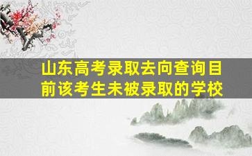 山东高考录取去向查询目前该考生未被录取的学校