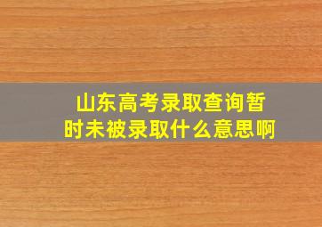 山东高考录取查询暂时未被录取什么意思啊