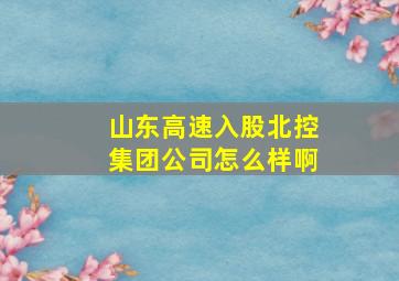 山东高速入股北控集团公司怎么样啊