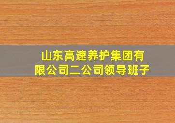 山东高速养护集团有限公司二公司领导班子