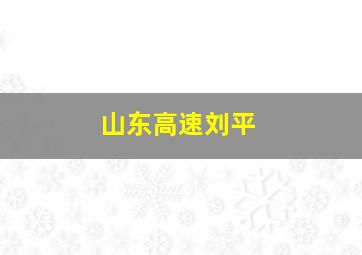 山东高速刘平