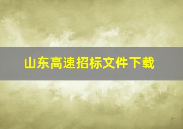 山东高速招标文件下载