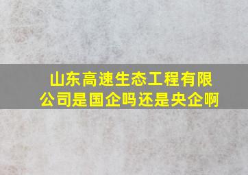 山东高速生态工程有限公司是国企吗还是央企啊