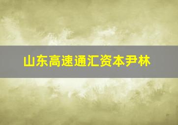 山东高速通汇资本尹林