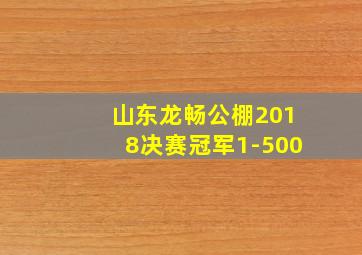 山东龙畅公棚2018决赛冠军1-500