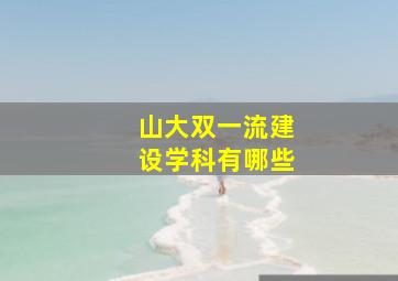 山大双一流建设学科有哪些