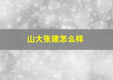 山大张建怎么样