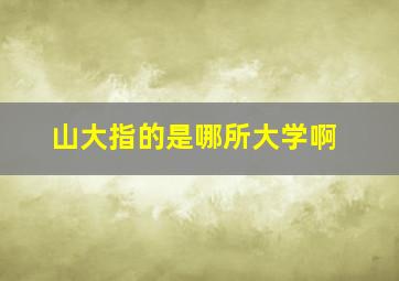 山大指的是哪所大学啊