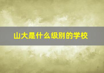 山大是什么级别的学校