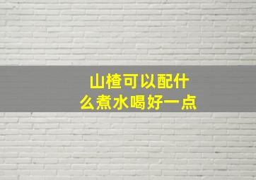 山楂可以配什么煮水喝好一点