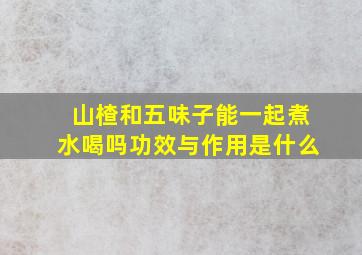 山楂和五味子能一起煮水喝吗功效与作用是什么