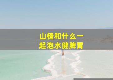 山楂和什么一起泡水健脾胃