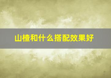 山楂和什么搭配效果好