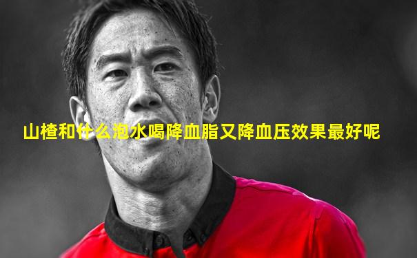 山楂和什么泡水喝降血脂又降血压效果最好呢