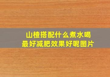 山楂搭配什么煮水喝最好减肥效果好呢图片