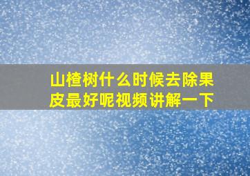 山楂树什么时候去除果皮最好呢视频讲解一下