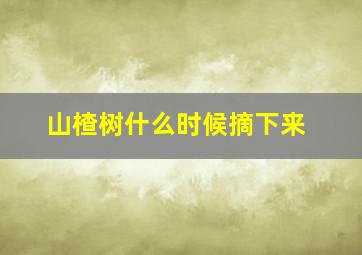 山楂树什么时候摘下来