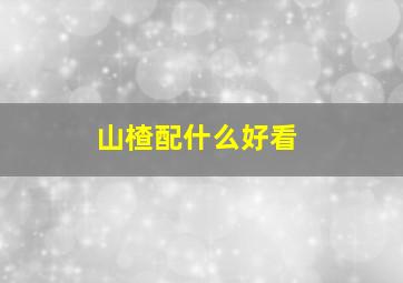 山楂配什么好看