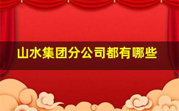 山水集团分公司都有哪些