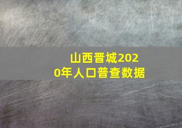 山西晋城2020年人口普查数据