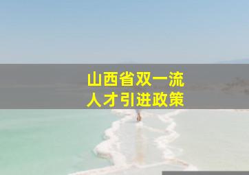 山西省双一流人才引进政策