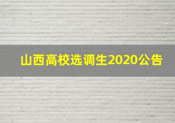 山西高校选调生2020公告